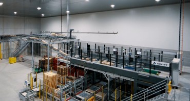 Up to 12 French frozen food lines to feed high-capacity potato palletising