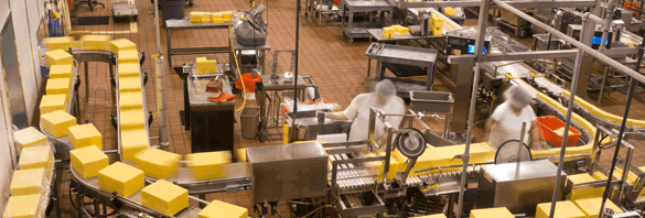 Driving Manufacturing Innovation: How Automate UK Supports a Smarter Industrial Future