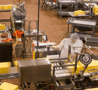 Driving Manufacturing Innovation: How Automate UK Supports a Smarter Industrial Future