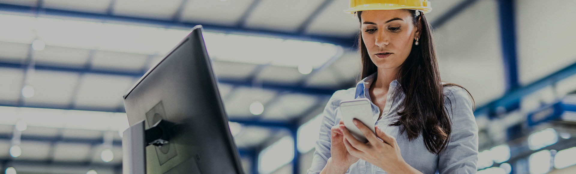 Get 25% off standards