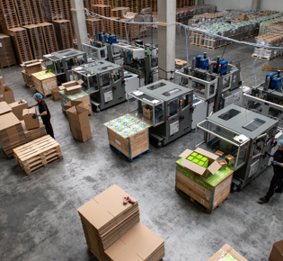 Boix Europe relocates, new locations in Deventer and Germany strengthen service and customer support