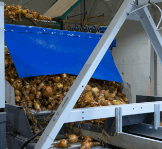 End-of-Line Automation: Priorities for UK Food, Drink and FMCG Producers