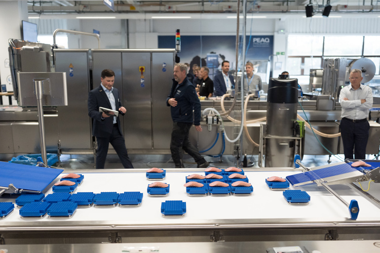 Mechatronic system feeds flow-wrapper to provide dramatic boost to line output