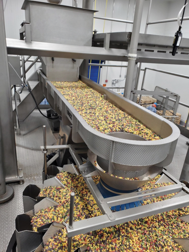 Technical paper offers insights into better vibratory feed performance